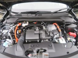 Honda Vezel | X Hunt full