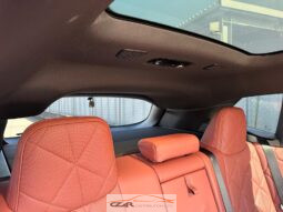 BMW | IX60 full